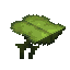 Big Dripleaf