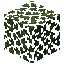 Birch Leaves