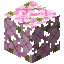 Cherry Leaves