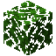 Dark Oak Leaves