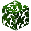 Jungle Leaves