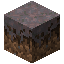 Mycelium