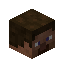 Player Head