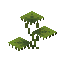 Small Dripleaf