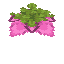 Spore Blossom