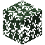 Spruce Leaves