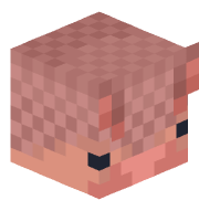 Armadillo