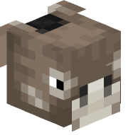 Donkey